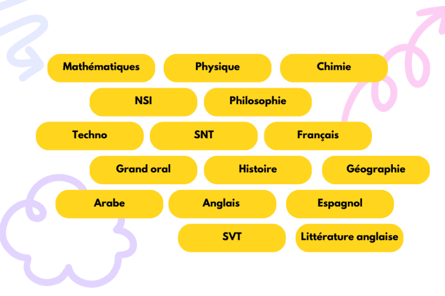 Smartprof assure des cours de soutien dans toutes les matières et disciplines en ligne ou à domicile