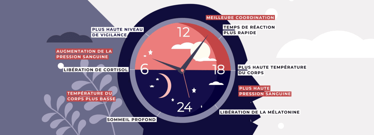 Pourquoi les Pauses Régulières et le Sommeil sont Essentiels